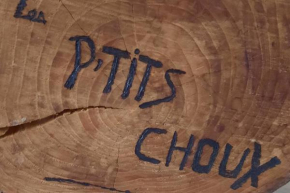 Gîte Les ptits choux